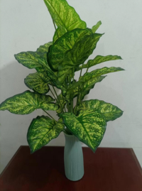 18 pothos leaves, (made of adhesive tape)